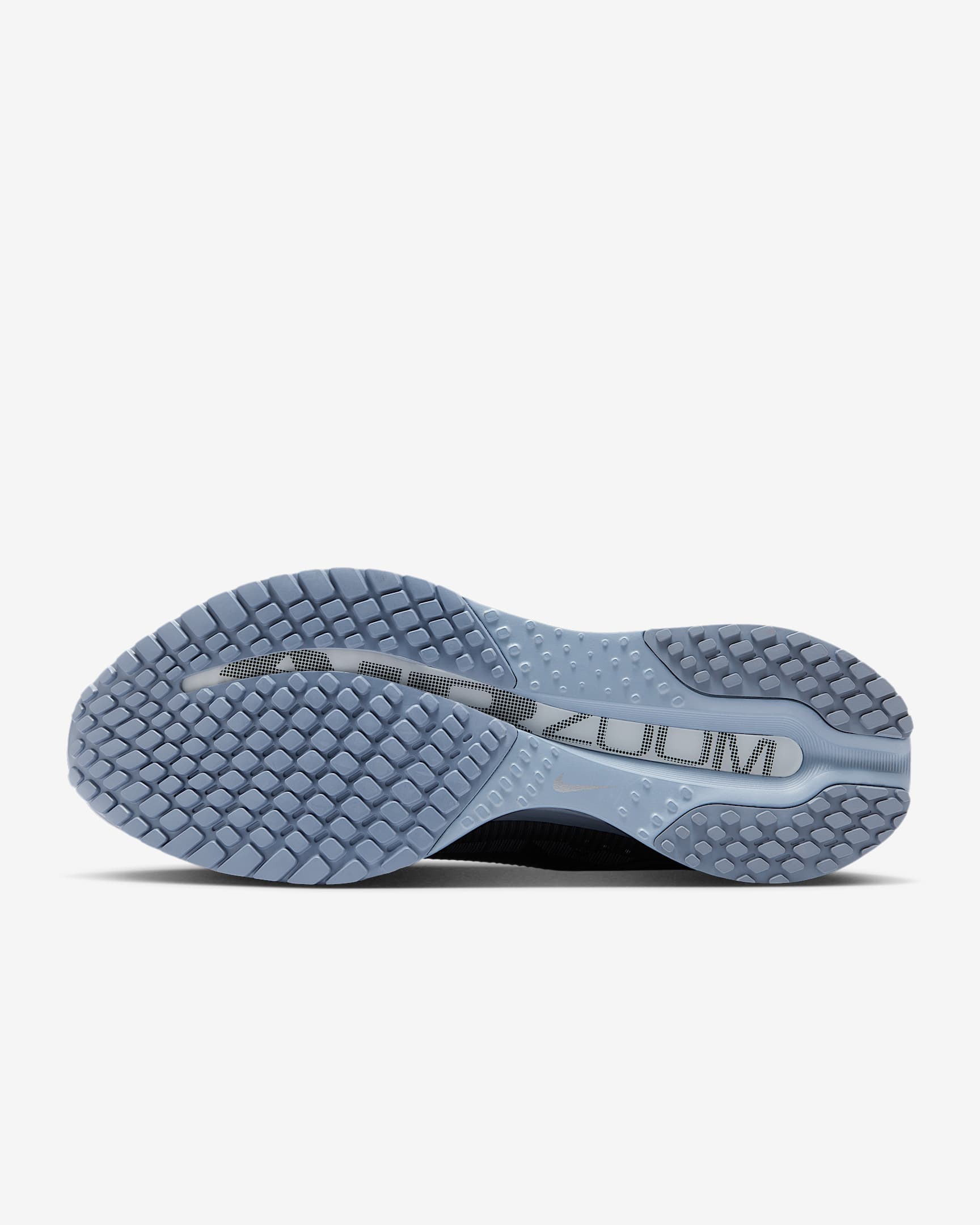 NIKE+PEGASUS+PREMIUM (1)